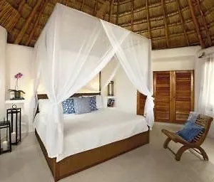 las-palapas-riviera-maya.quintano-roohotels.com/